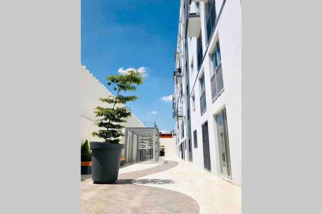 Departamento *Mundo Viajero* Guadalajara Exterior foto
